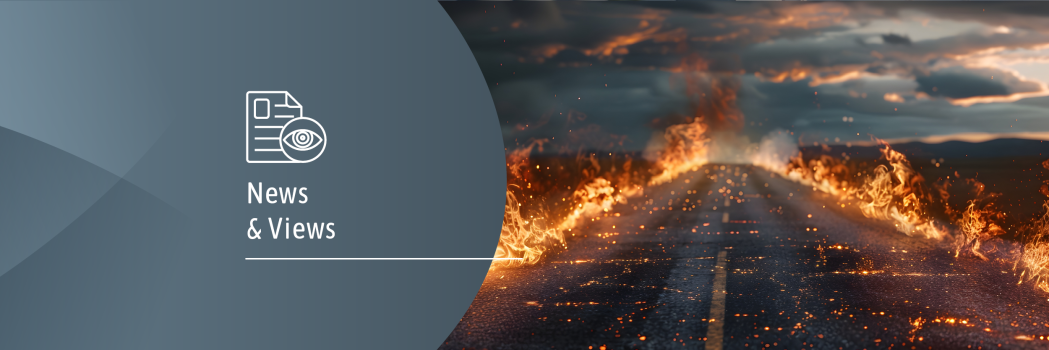 4D N&V_wildfires rears it head again